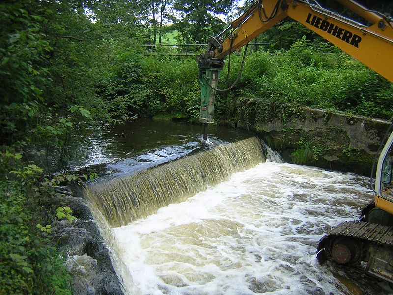 Schussen 1 Kreisfischereiverein Ravensburg e.V.